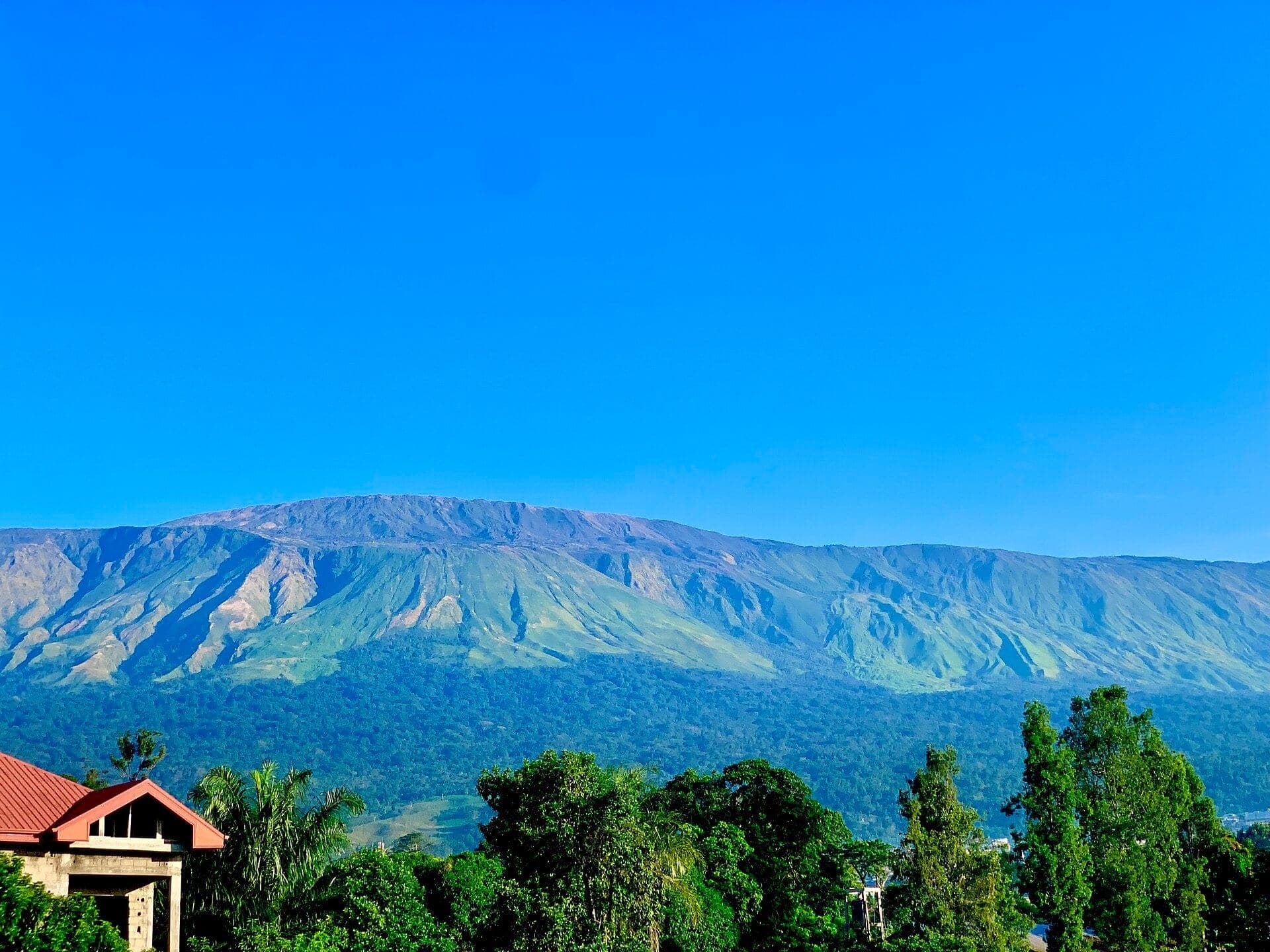 Mount Cameroon, huge, under a blue sky, seen from Buea