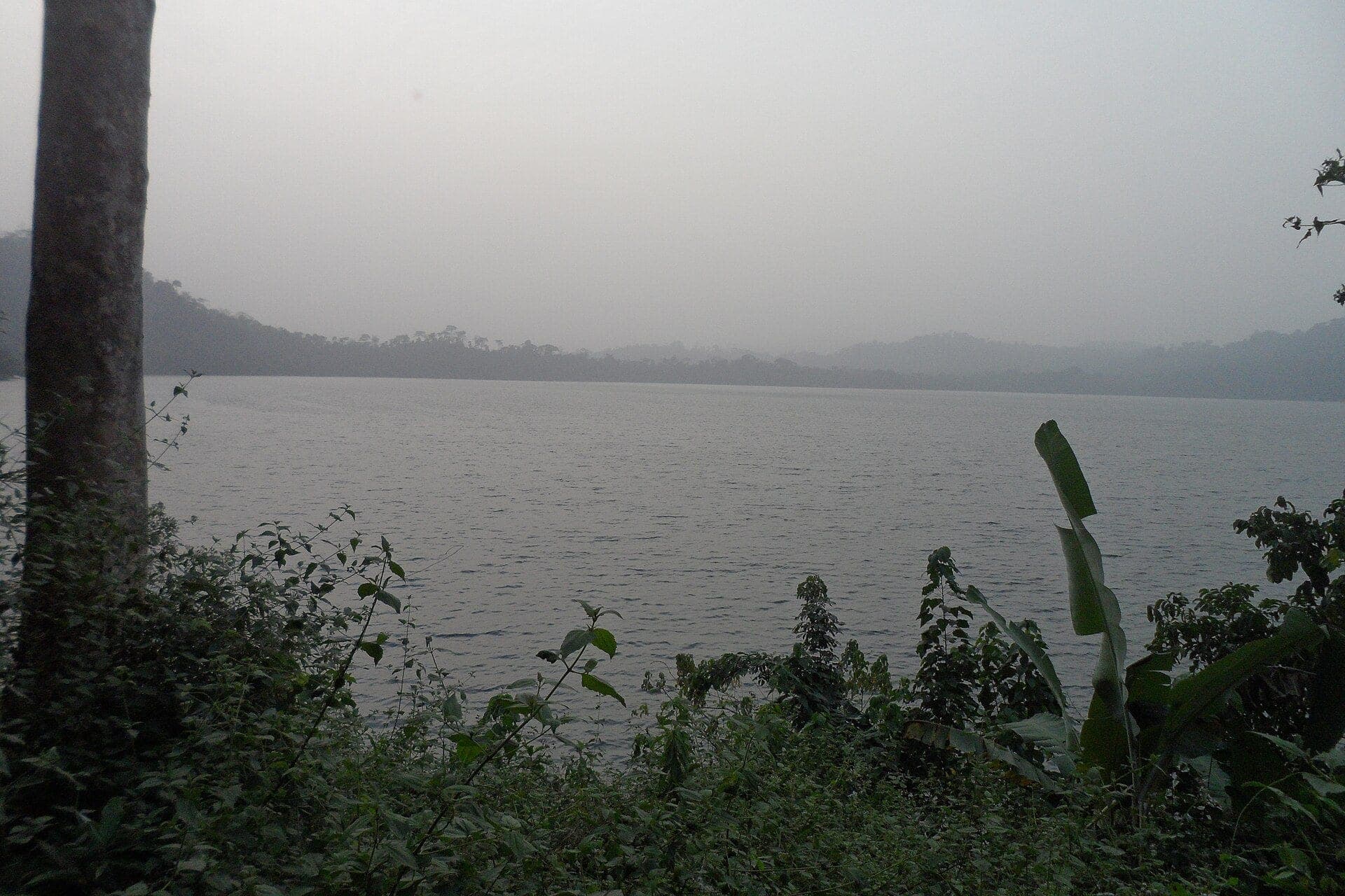 Lake Barombi Mbo, calm, surrounded by wooded hills
