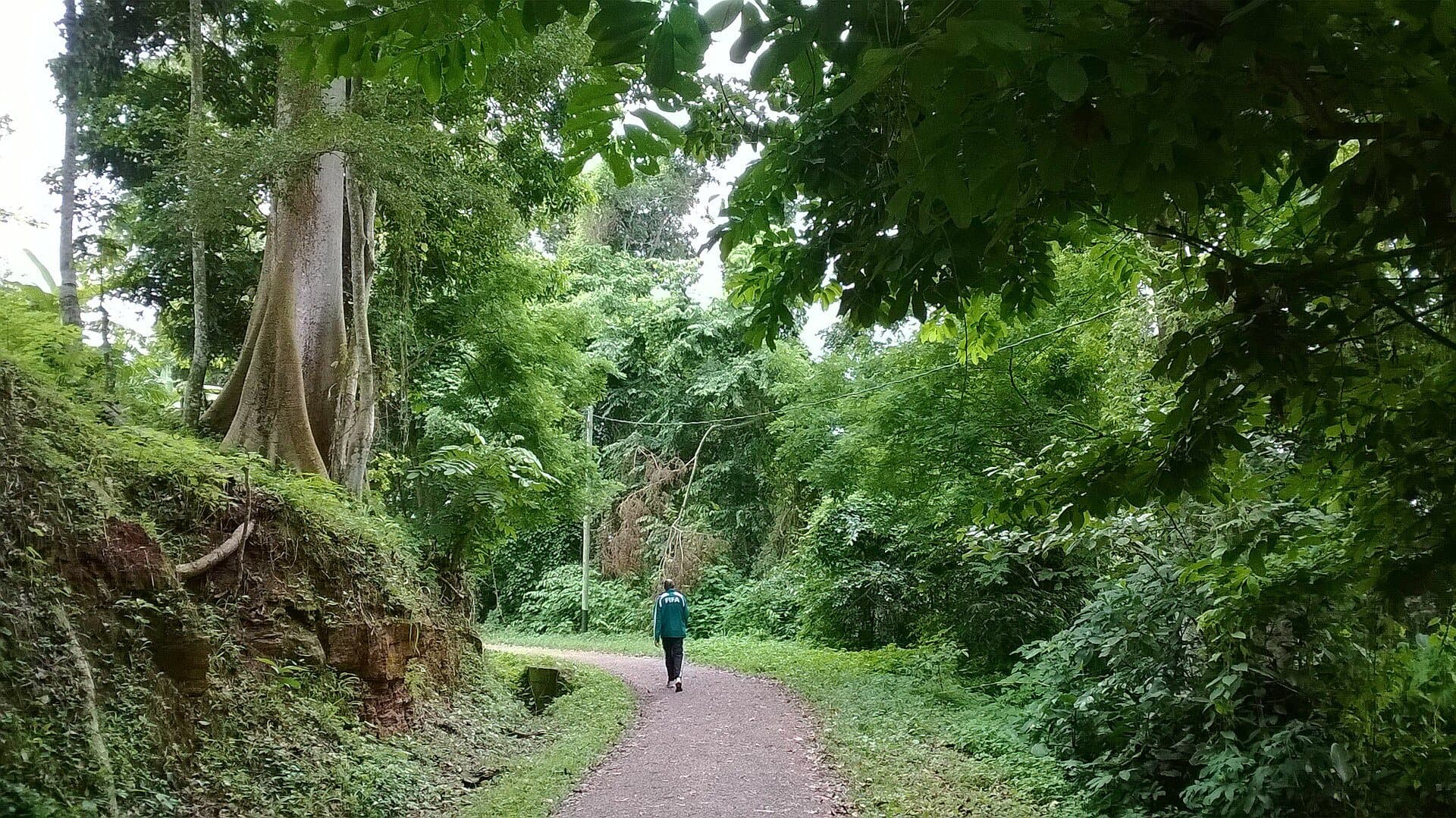 Parcours Vita