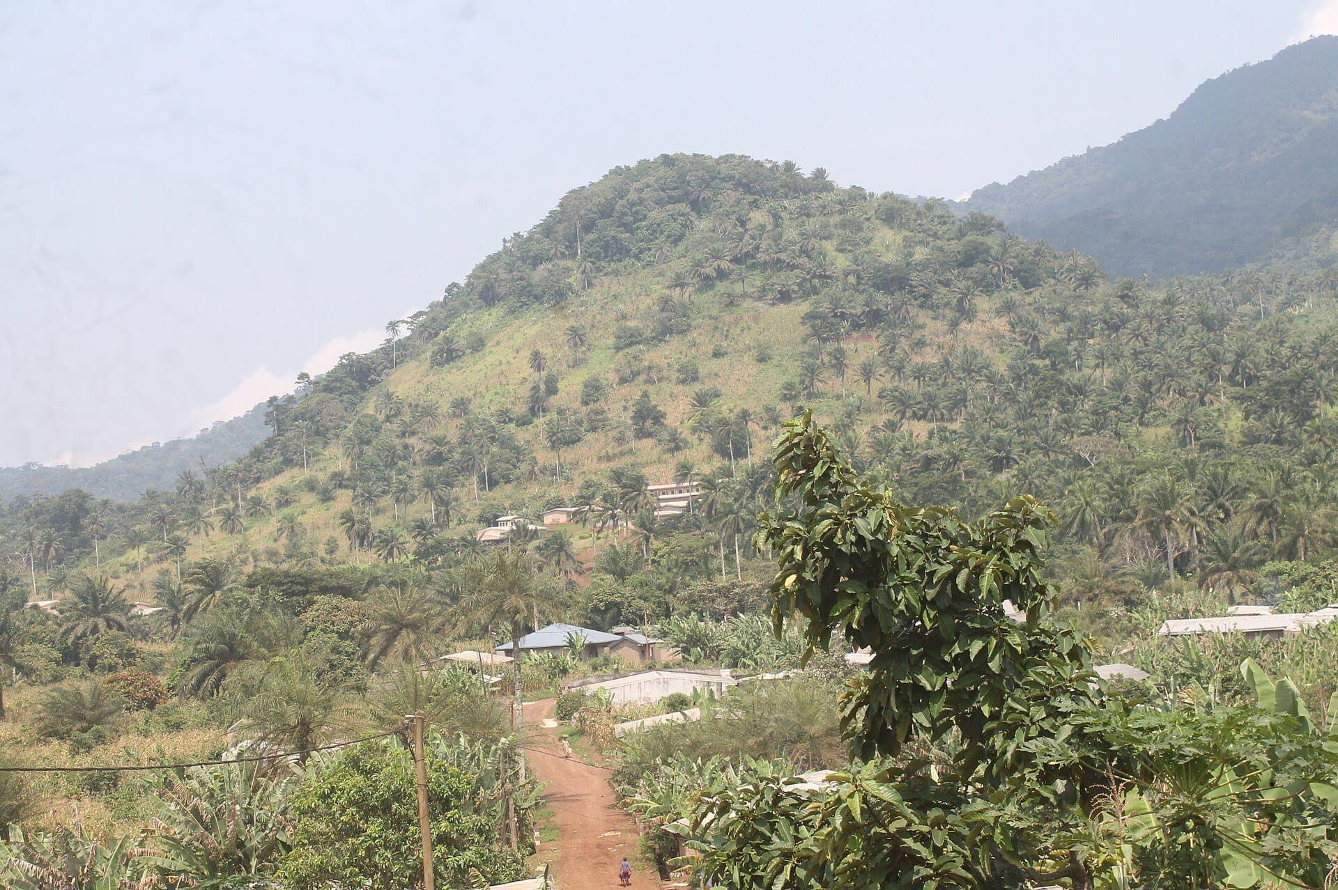Mont Nlonako