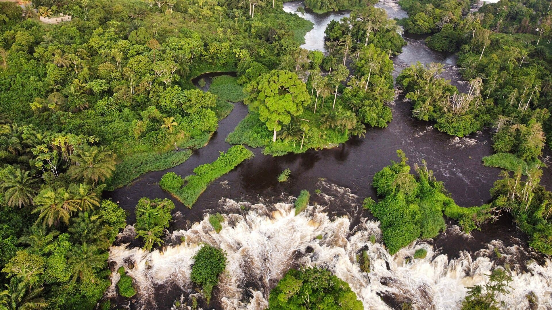 Les chutes de la Lobé vues d’en haut, au milieu de la végétation